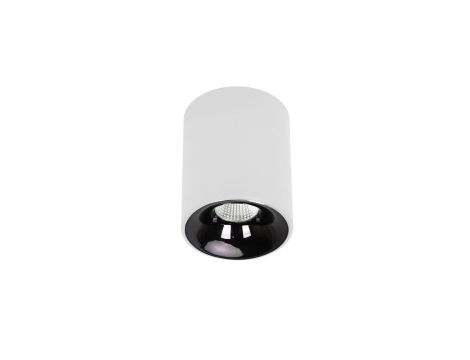 Biała tuba natynkowa Tom LED 5W CCT z wyborem barwy światła LP-4848/1RM WH Light Prestige