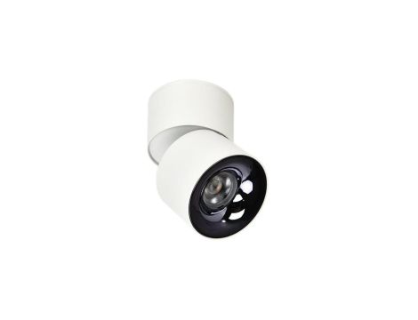 Reflektorek ruchomy natynkowy Brema biały wyposazona w LED CCT LP-2626/1RM WH movable Light Prestige