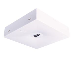 Oprawa awaryjna natynkowa STARLET QUAD SC 350 NM 2H AT / 92945