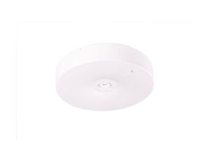 Oprawa sieciowo-awaryjna natynkowa STARLET ROUND SO 250 M 3H MT / 91758