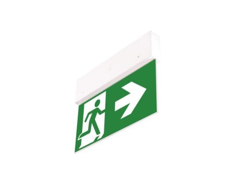 Oprawa ewakuacyjna DIRECTO S M 3H AT + (VD3, VD4, VD5 x 2) / 90385