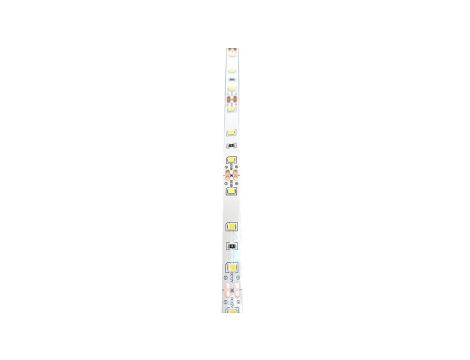 Taśma LED 2835 60led/m 4000K 12V 6W/m rolka 5m