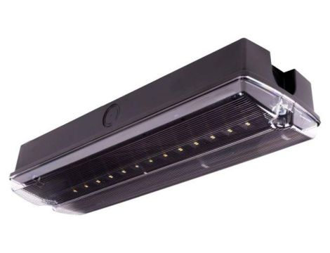 Oprawa ewakuacyjna/awaryjna ORION II 150 M 3H AT IP65 BLK + (OR7, OR8) / 89535