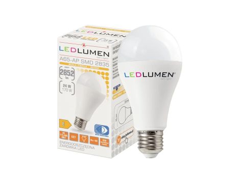 Żarówka LED A65-AP E27 24W 2852lm 56x2835 LED CCD biała ciepła