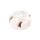 28003212 Zasilacz impulsowy, LED, 32W, 2440VDC, 700800mA, 198264VAC