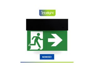 Oprawa ewakuacyjna DIRECTO S M 1H MT BLK + (VD3, VD4, VD5 x 2) / 90681