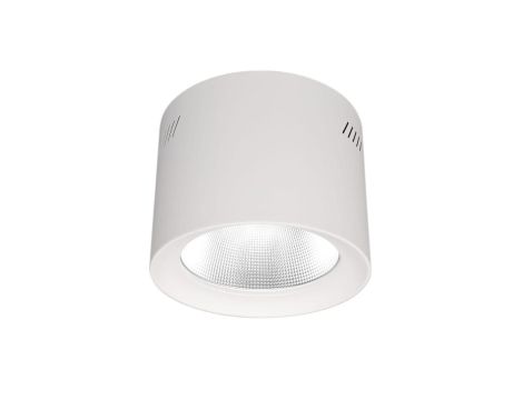 Downlight Natynkowy LED Phoenice 20W 3000-5700K IP64 Philips Driver