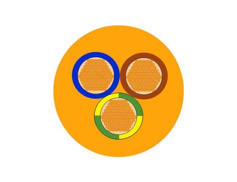 Sieciowy kabel zasilający 3 Core Polichlorek winylu PVC Sheath Pomarańczowy 8.7mm od , 500 V