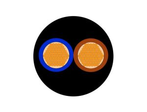 Sieciowy kabel zasilający 2 Core CPE Sheath Czarny 9.3mm od , 450 V, 750 V