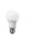 Żarówka LED E27 A60 9W 1000lm 4000K AC/DC 24V niskonapięciowa LED-3022