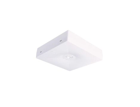 Intelight Oczko awaryjne N/T STARLET QUAD LED SO 150 SA 3H MT IP20 MANUAL TEST 3,5W białe 92814