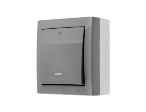 Simon Aquaclick Łącznik dwubiegunowy z podświetleniem, 10 AX, 250 V szary ACW2L/16