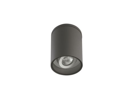 Oprawa sufitowa Adela 7004 DG z regulowanym kątem nachylenia źródła światła, GU10 max 35W antracyt, 0438621