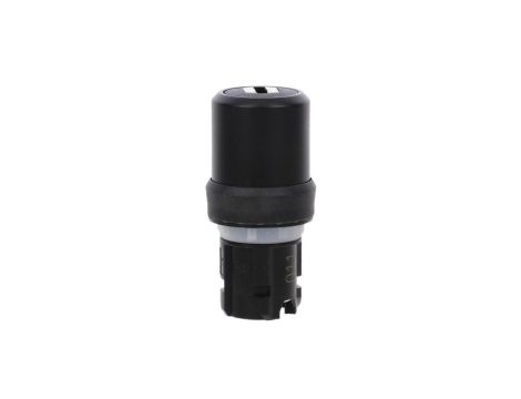 Przełącznik z kluczem 22mm tworzywo 2 poz O-I BKS nr E2 (VW) klucz w poz O /dostawa bez kluczy/ SIRIUS ACT 3SU1000-5RF01-0AA0