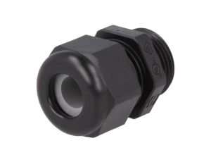 Dławnica czarna M20 19000005181