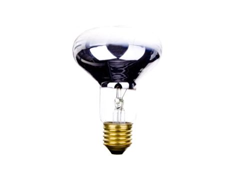 Promiennik podczerwieni E27 75W R80 do terrarium PRO-0406