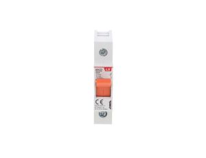 Rozłącznik modułowy 1P 50A BKD 1P 50A 06110113R0