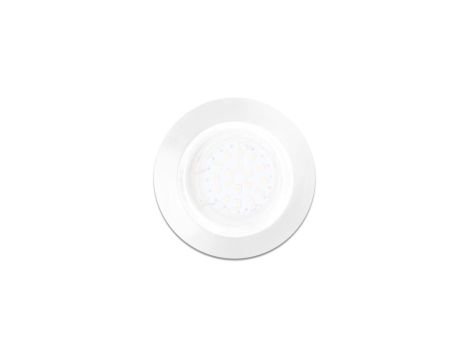 OCZKA OKRĄGŁE GU10 1X5W LED BIAŁE EKZ2556 Milagro