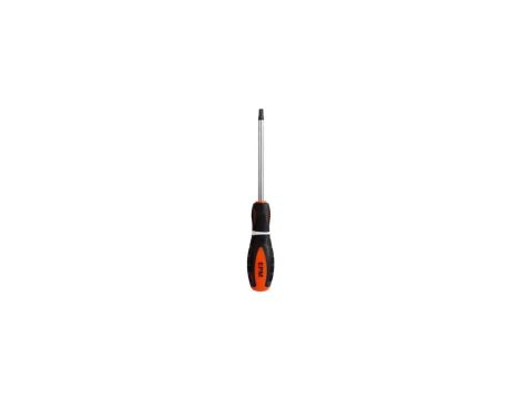 WKRĘTAK TORX SERIA M3 5*100MM T20