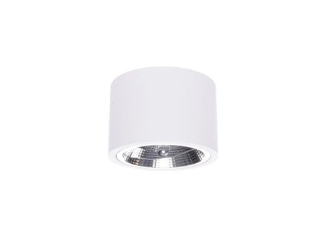 Oprawa natynkowa biała CAMINO LP-1101/1SM WH Light Prestige