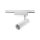 Reflektorek szynowy 1 obwodowy ROCCA biały LED 4000K LP-1019/1W WH Light Prestige