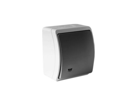 Włącznik wyłącznik światła łącznik pojedynczy IP44 popiel/grafit 156-08 DV 8264
