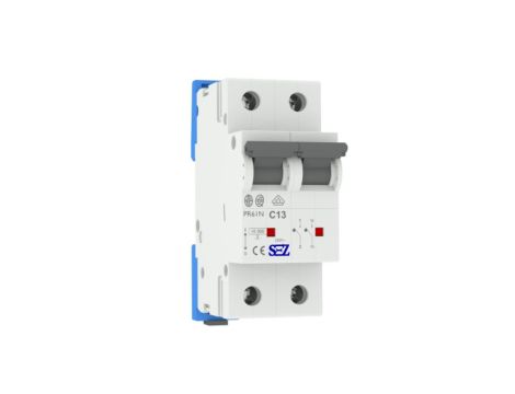 C13A 1P+N 10kA Wyłącznik nadprądowy bezpiecznik Typ S eska PR61N 0099670 SEZ 1248