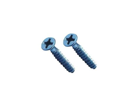 Wkręty osprzętowy do puszek długość 25mm W25 100 sztuk