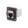 Łącznik FT RJ45 8p8c Kat 6a ekranowane 19x24mm metal CP30225SM3B