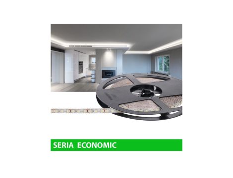 Taśma Economic IP63 12V 120led W 6000-7000K SMD2835 (5)