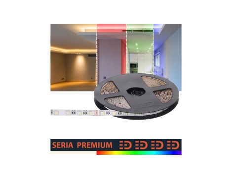 Taśma Premium 24V 60led RGB+WW 4w1 SMD5050 (10) PL3Y wyc