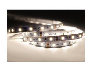 HQS-9.6W-120LED-W-WP-12V-5M Profesjonalna taśma LED 9.6W/m, 12V, 120LED 2835 biała 6500K, IP64