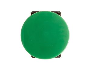 Przycisk sterowniczy 30mm zielony z samopowrotem 1Z 1R W0-NEF30-D XY Z