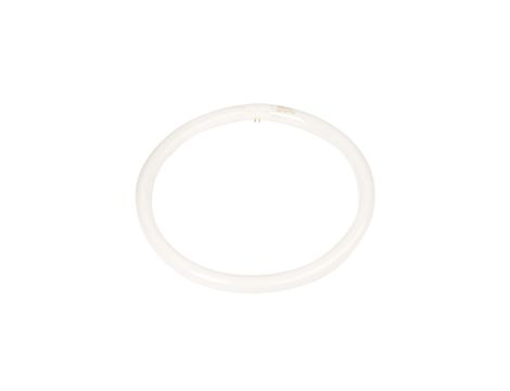 Świetlówka kołowa G10q 40W 840 4000K TLE 8711500284747