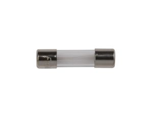 Wkładka aparatowa 5x20mm 10A F /szybka/ 250V 006710027 /10szt./