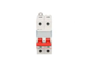 Rozłącznik modułowy 63A 2P 16kA FRX302 406528