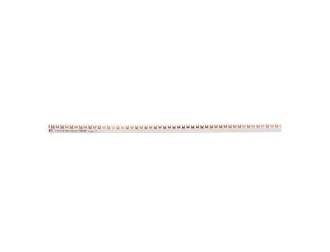 Szyna łączeniowa widełkowa 2P 100A 16mm2 (54mod.) IZ16/2F/54 002921067