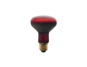 Promiennik podczerwieni E27 100W R80RB do terrarium PRO-1465