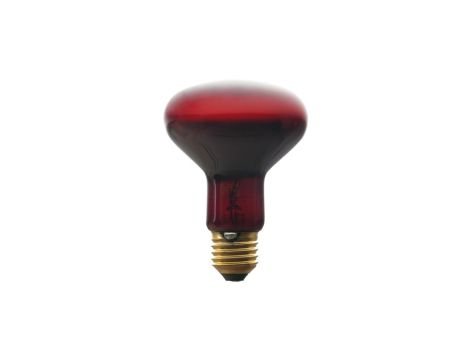 Promiennik podczerwieni E27 100W R80RB do terrarium PRO-1465