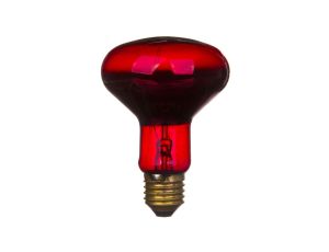 Promiennik podczerwieni E27 75W R80RB do terrarium PRO-1466
