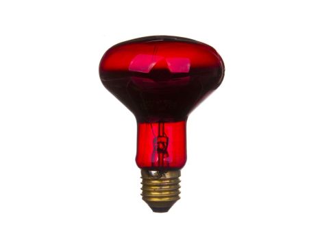 Promiennik podczerwieni E27 75W R80RB do terrarium PRO-1466