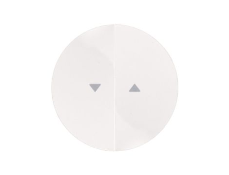 Berker R.1/R.3 Klawisz podwójny do łącznika żaluzjowego z symbolem /strzałka/ biały 16252089
