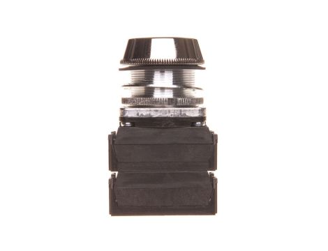 Przycisk sterowniczy NEF30-UK 2X2Y Z zielony W0-NEF30-UK 2X2Y Z