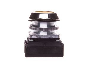 Przycisk sterowniczy 30mm żółty 2Z z samopowrotem W0-NEF30-K 2X G