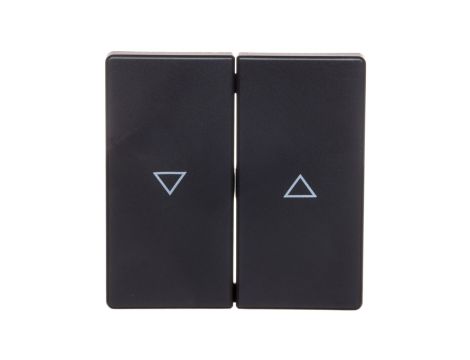 Berker Q.1/Q.3 Klawisze z nadrukiem symbolu /strzałka/ antracyt/ aksamit 16256086