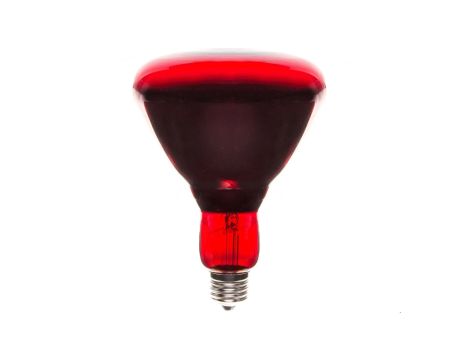 Promiennik podczerwieni E27 250W R123RB PRO-2109