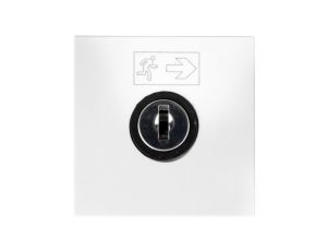 MOSAIC Wyłącznik na klucz /2moduły/ biały 076630