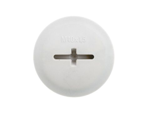 Zaślepka poliamidowa M40 IP68 z O-Ring SKINDICHT BLK-GL-M 40X1,5 jasnoszara 52006157