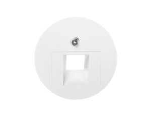 Berker/R.1/R.3 Płytka czołowa do gniazda teleinformatycznego pojedynczego RJ11/RJ12/RJ45 biała 14072089