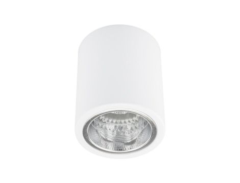 Oprawa sufitowa natynkowa tuba metalowa spot JUPITER 10 GOLDLUX DOWNLIGHT E27
